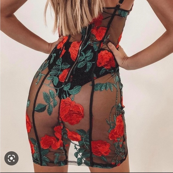 Jagger and Stone Frida Rose Mesh Dress - Picture 3 of 5